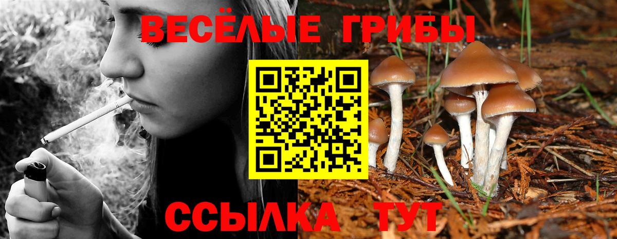 Псилоцибиновые грибы Cubensis  Вход с VPN  Псилоцибиновые грибы Magic Shrooms  Лабинск 